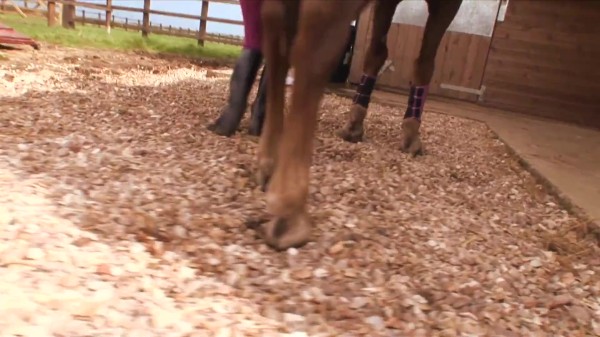 In the stables the blonde knows how to tame cocks eager for pussy