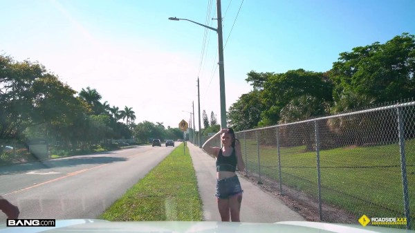 Roadside - Junker Queen Brenna Mckenna Strucks A Deal With The Mechanic Porn Photo with  naked