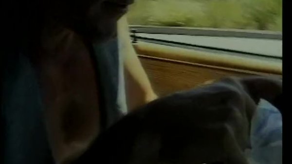 Two hitch hicking blonde honeys share stud's cock in the back of his van