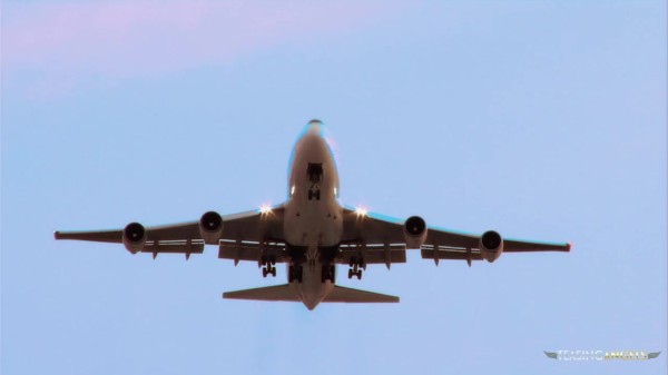 Naughty stewardess having fun with a handsome pilot Porn Photo with  naked